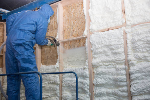 Best Blown-In Insulation  in USA